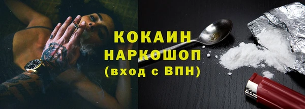 индика Абаза