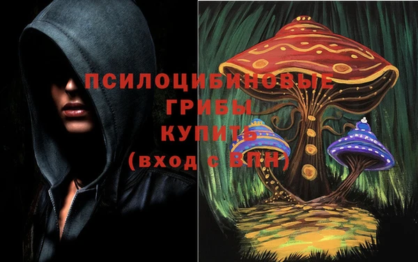 не бодяженный Алексин