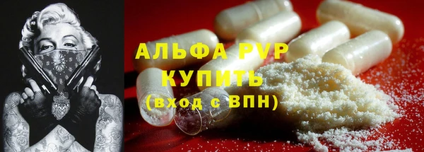 индика Абаза