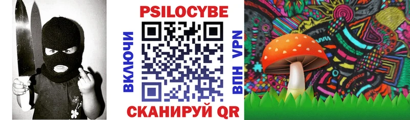 Псилоцибиновые грибы Psilocybe купить наркоту Алзамай