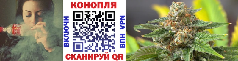 kraken зеркало  как найти закладки  Алзамай  Бошки марихуана THC 21% 